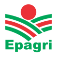 download (1).png